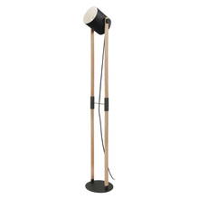 Eglo Canada - Trend 43048A - Hornwood 1-Light Floor Lamp