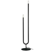 Dainolite WAN-602F-MB - 2LT Incandescent Floor Lamp, MB