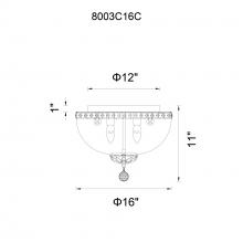 CWI-8003C16C-31.jpg