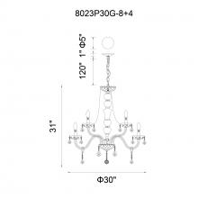 CWI-8023P30C-31.jpg